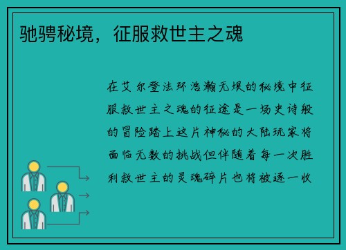 驰骋秘境，征服救世主之魂
